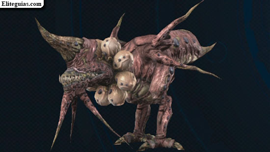 Caecus de barro