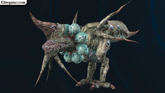 Caecus malvado