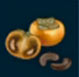 Caqui shido
