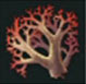 Coral fullerene