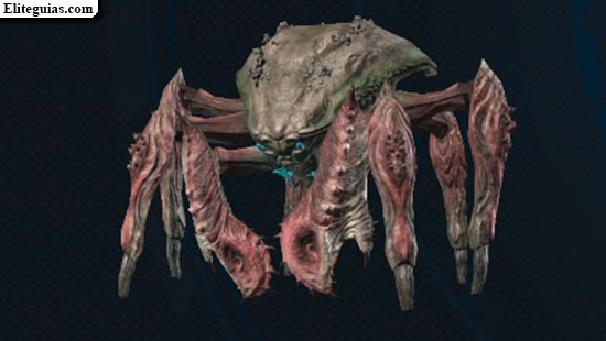 F&oacute;rfex cornalina
