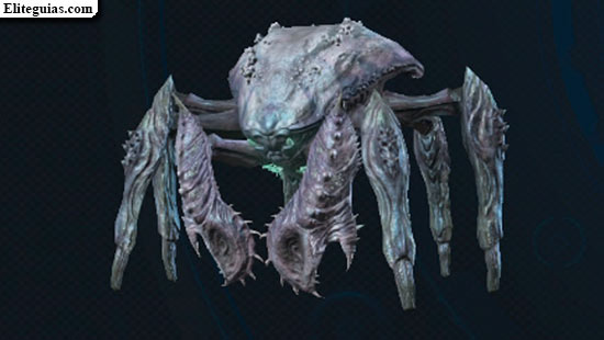F&oacute;rfex iolita
