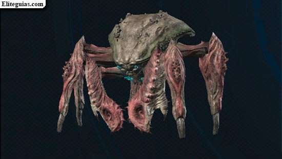 F&oacute;rfex iracundo
