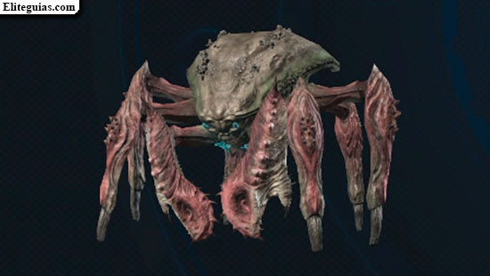 F&oacute;rfex oce&aacute;nico