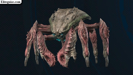 F&oacute;rfex spinel