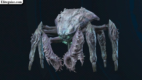 F&oacute;rfex zafiro