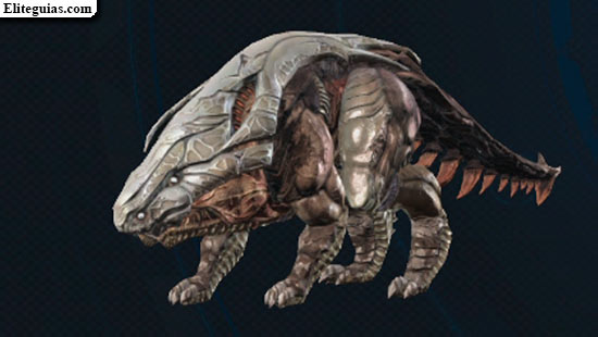 Grex imberbe