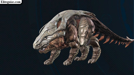 Grex mat&oacute;n