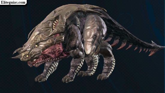 Grex soldado
