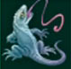 Iguari