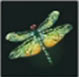 Libélula noctilucente