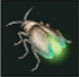Luciérnaga fugaz