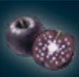 Manzana estelar