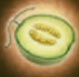 Melonsacro
