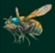 Mosca torpedo
