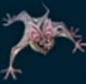 Murci&eacute;lago reptante