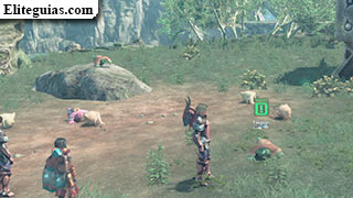 Nopon