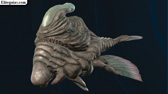 Purgovento de coral