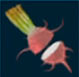 Rábano blanco ruge