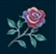 Rosa antorus