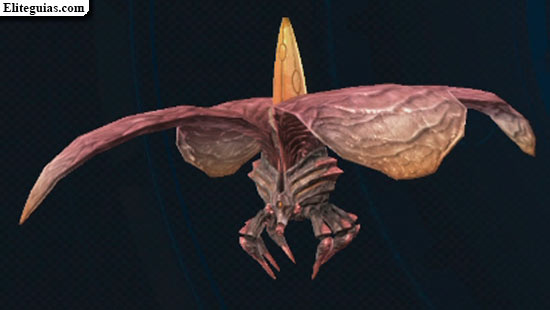 Sacrifole lava