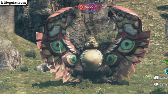 Sapara la Lac&oacute;nica