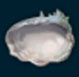 Surtido de an&eacute;monas de mar