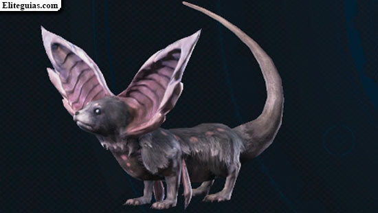 Terebra picapedrera