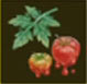 Tomate amidresiano