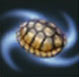 Tortuga a reacci&oacute;n