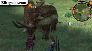 Armox de la pierna