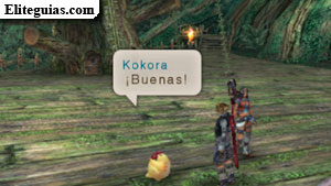 Kokora