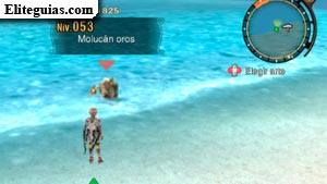 Molucan oros