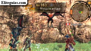 Rhogula antigua