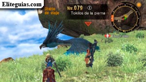 Tokilos de la pierna