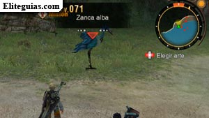 Zanca alba